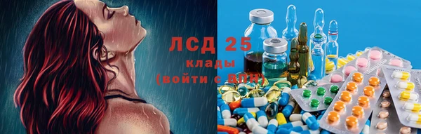 прущие крисы Аркадак