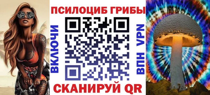 ссылка на мегу зеркало Балтийск Псилоцибиновые грибы Magic Shrooms