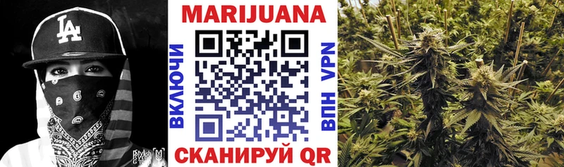 Бошки марихуана гибрид  Балтийск 